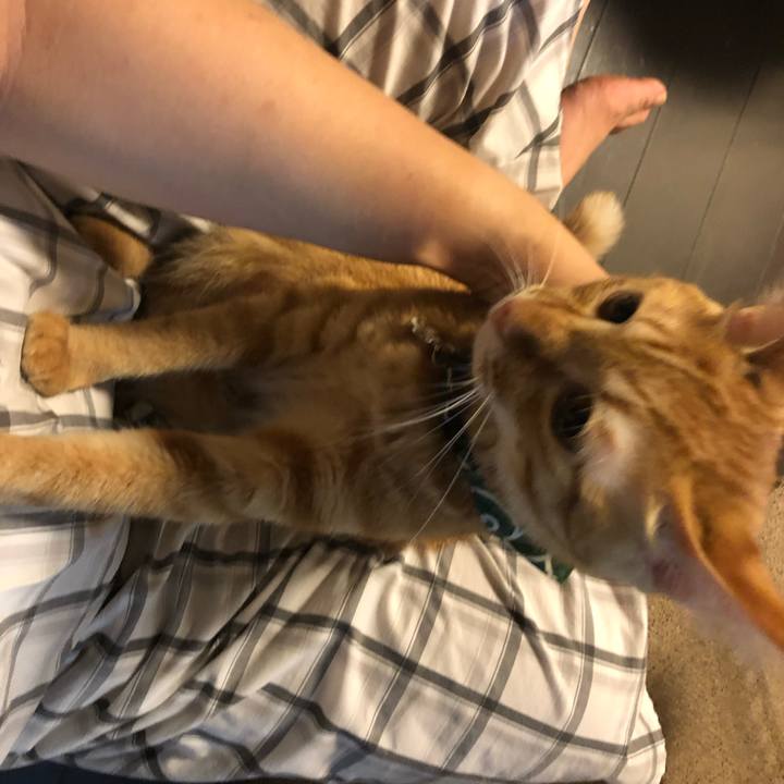 Be9a6333 fd06 42dd 8d00 fc77e06f0b59 1629322750650