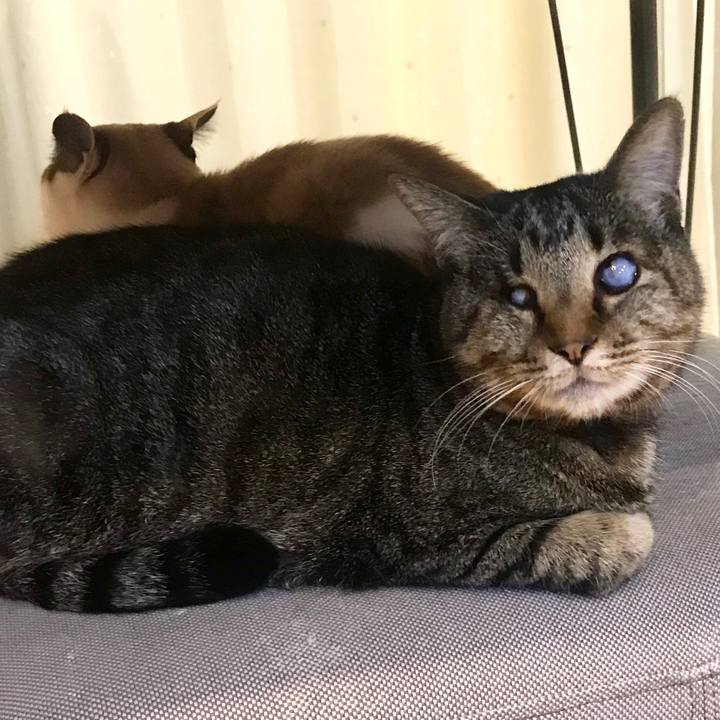 Be9adb4f 0363 46f2 bc78 e563583500a3 1577780262628