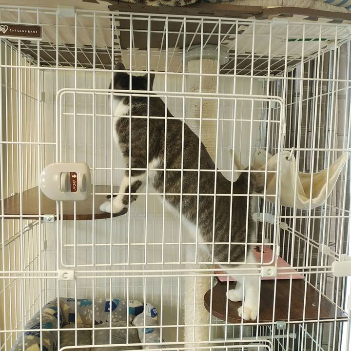 Be9aea54 1bf0 42c0 b2ee cb0c8056bc02 1581120097928