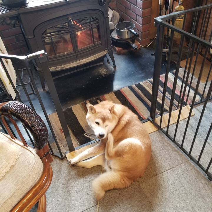 Be9aee58 776a 48a8 a101 1f30deabbdd8 1707955660603