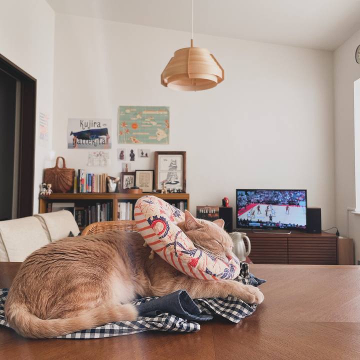 Be9af43b de7b 4ef6 ac7e aa401623bfa3 1704611570798