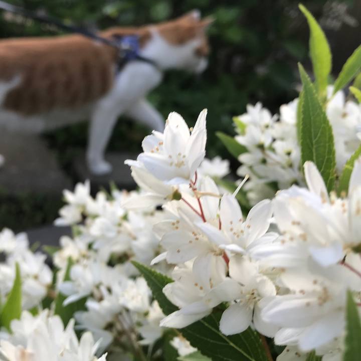 Be9b0cdb 6913 4399 87e7 283843170ec5 1526548556904