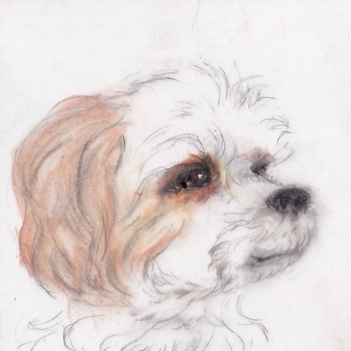 Be9b1e40 db00 4b75 93e0 4d1b582f78ee 1669379908512