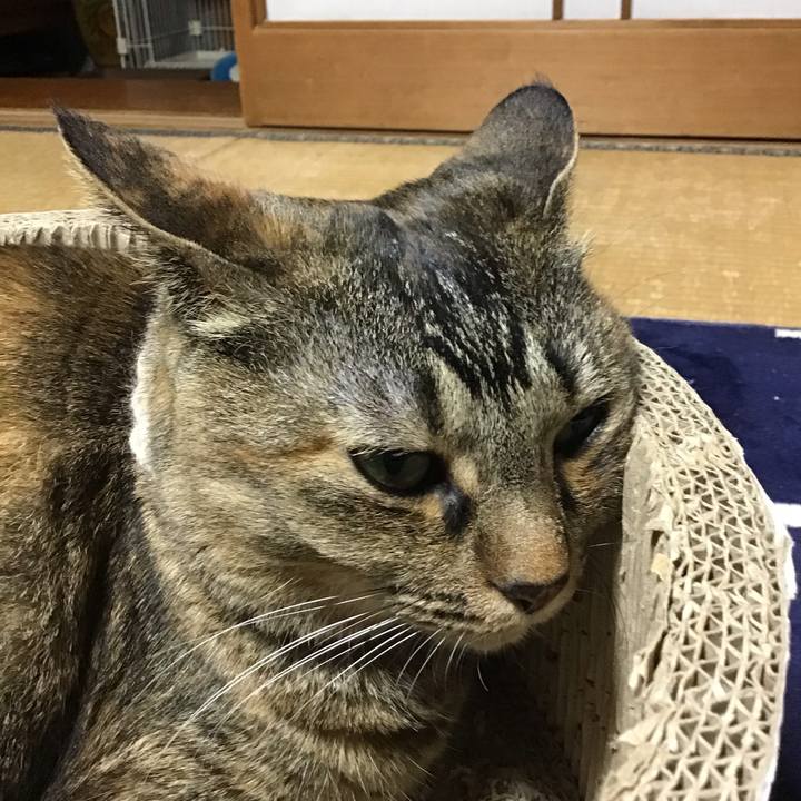 Be9b3d3a be87 434f aa78 50249a6b8bf9 1717415336333