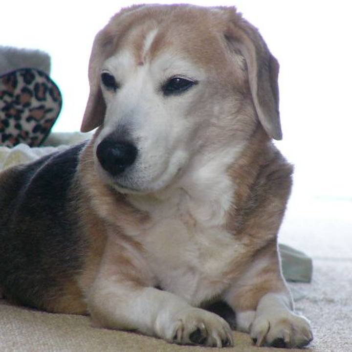 Be9b7201 8b34 4b2c 863a bc9612d72325 1679965828674