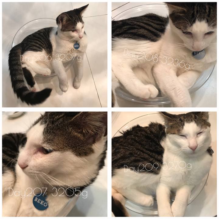 Be9ba8d3 4519 430c 95c6 6e09b1da3283 1511416955628