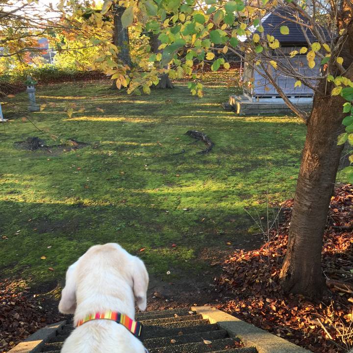 Be9bb8fe 46ca 4872 a2a7 7cd10231d428 1510545288860