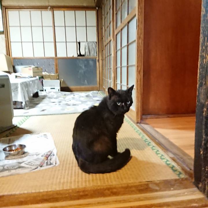 Be9bccbe 0552 4a08 bb5b 4e81c22c56b8 1623757389139