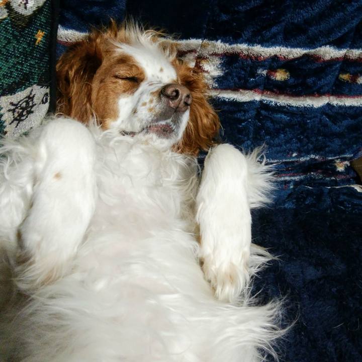 Be9bd804 6814 43f2 9355 76278908d91f 1552997215226