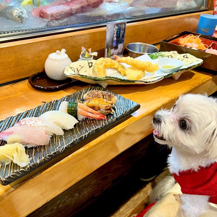 Be9be723 cc47 4613 af89 0e9df6e93e3c 1669536268957