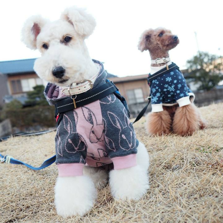 Be9bf801 0130 4c29 94ef 6706aa77f8a1 1518699789972