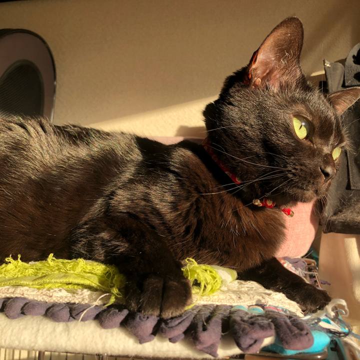 Be9c5f75 bcb0 421f 9849 be25c511c623 1611184483919