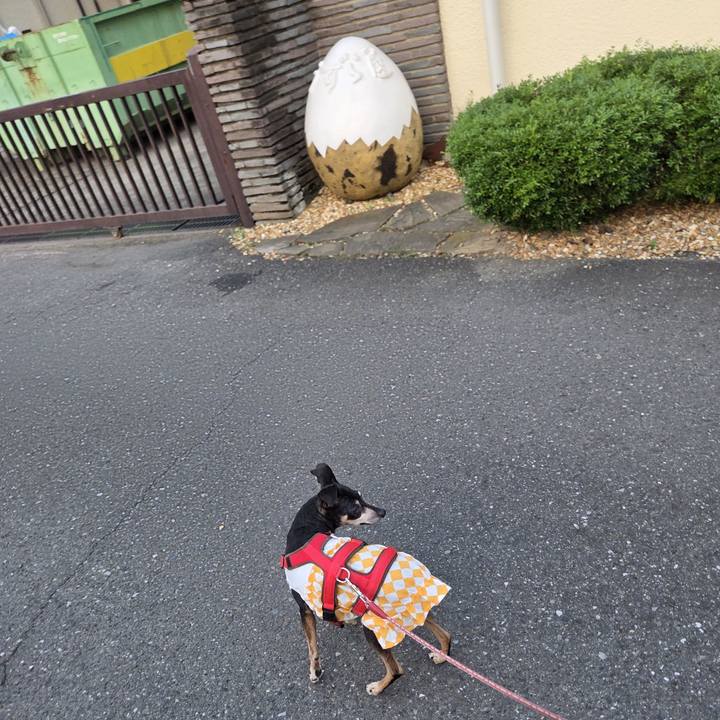 Be9c6411 ca29 4ce0 bd1b 433a64b59106 1751921188071