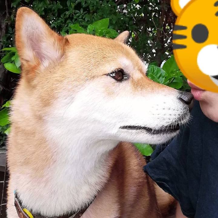 Be9c6c81 4746 44a3 b5fa 1c98b4b53565 1593252788890