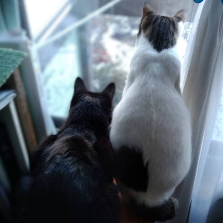 Be9cb413 bfd7 4c56 84b3 2baf4cb49663 1703768377191