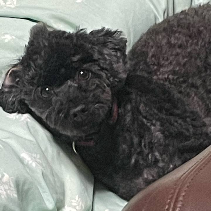 Be9ce704 2223 40df b5f8 8ea4d76b2e4c 1700909430123