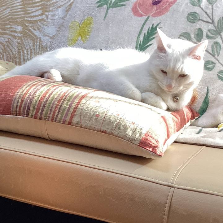 Be9cf291 b4b8 40df bf0d 645ce2992d5e 1678059507824