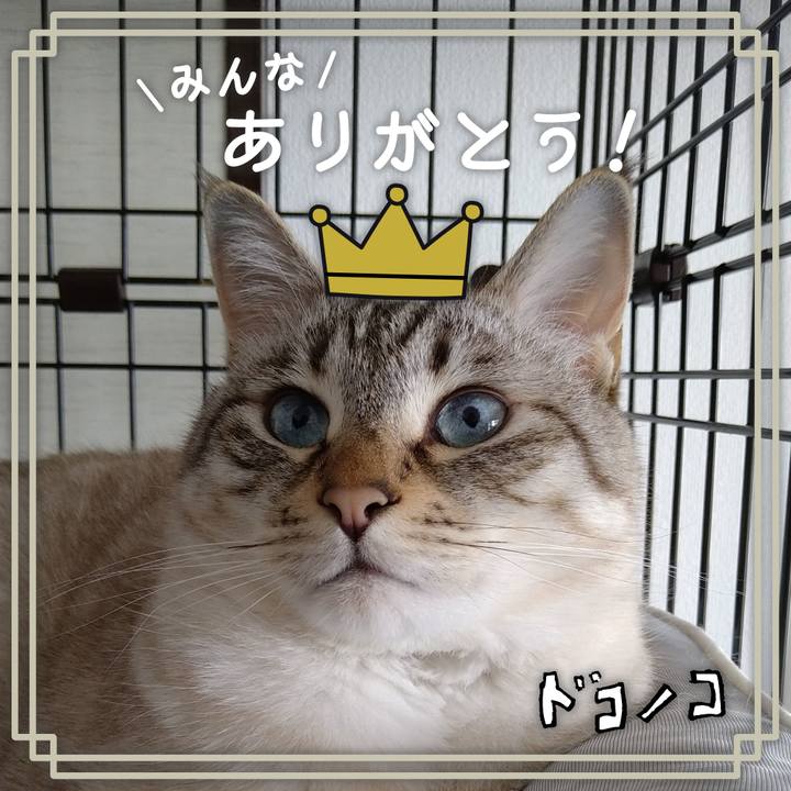 Be9cfdbd f62d 4d7f a34a 6ee884d5b368 1622861163305