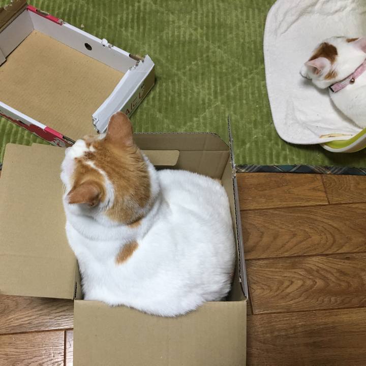 Be9d1424 0665 44fa 9cbf 92bc1d319f81 1551968820073