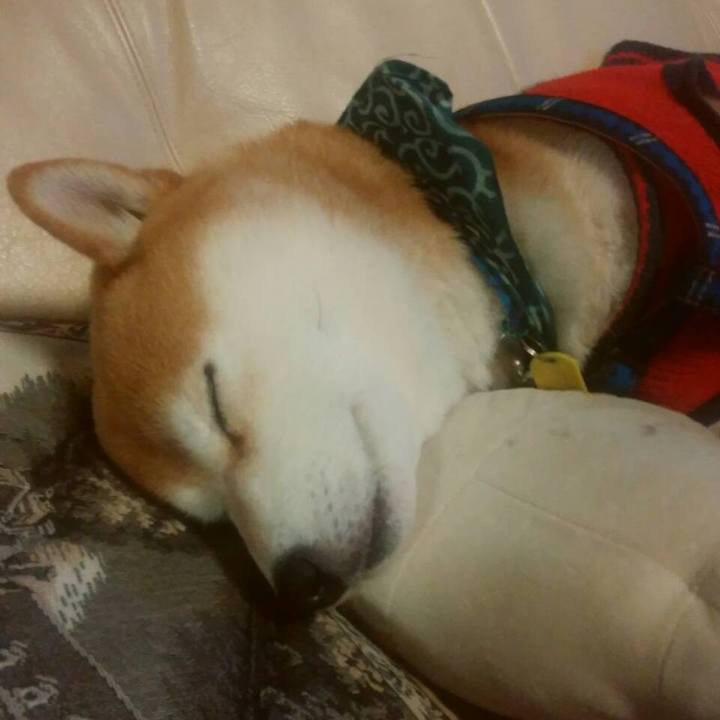 Be9d8e1b 146b 4859 b031 34808b0e0450 1546667768803