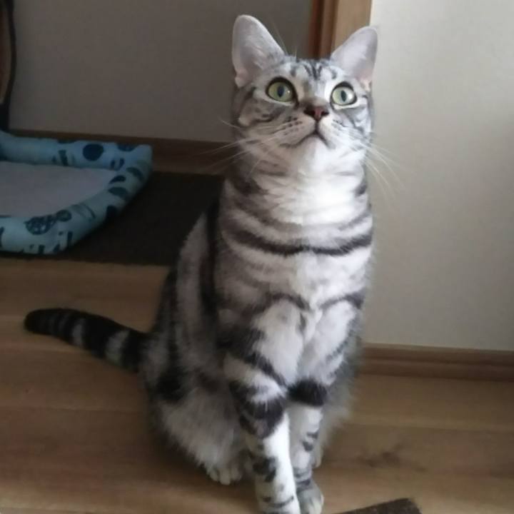 Be9dae4f 32c8 45c4 9f34 a032c59d6b9d 1590443428451