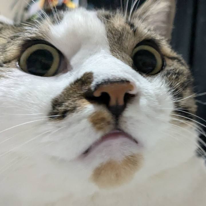 Be9de0f2 0cd4 450a 9eba 06237507b31e 1726320435075