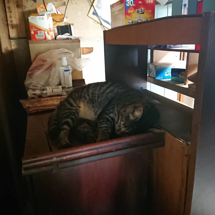 Be9de675 e4ba 431e 9509 4526ea4010be 1660428715335