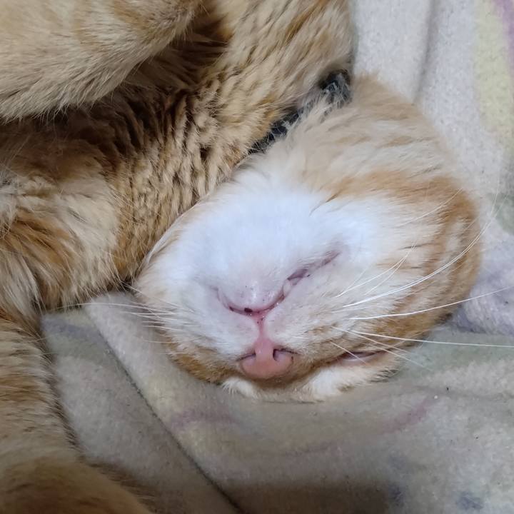 Be9debe7 e63b 4b5e bdd9 cd3d6c4bfd37 1684501190043