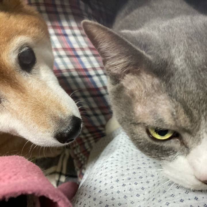 Be9deed0 d999 4afd b883 4edf5f0f3eac 1684021239559