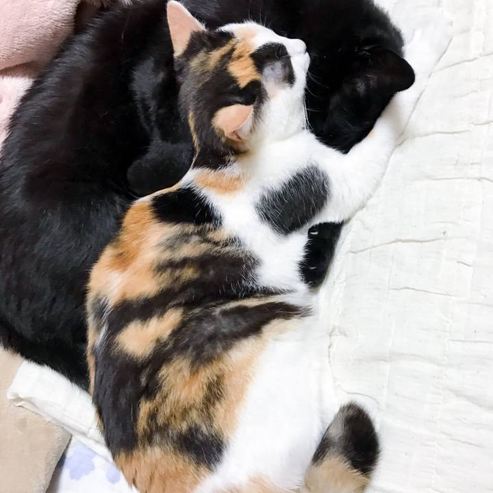 Be9df4f1 7bfc 4197 ad93 38c10da0a2c0 1529505821470