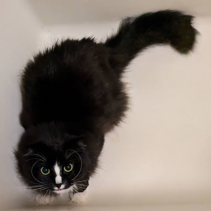 Be9e6336 fc5e 48d6 ac2a 348e0910dba6 1708245634467