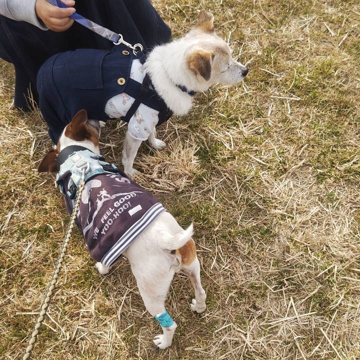 Be9eb2b4 1d4f 4a77 b063 5c352d572baf 1771065547702