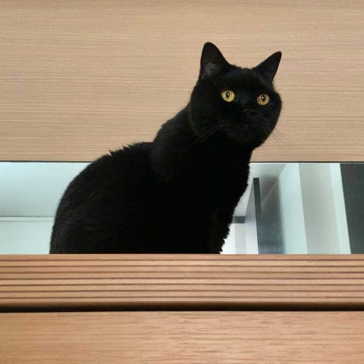 Be9ec801 c7f7 4587 b3c9 5a4453dbd90f 1752823948296