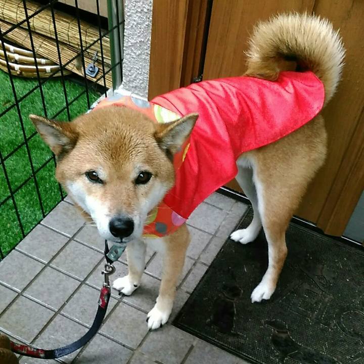 Be9ed83e 5da0 49ed 9d6d 264cdb7f6057 1571961762053