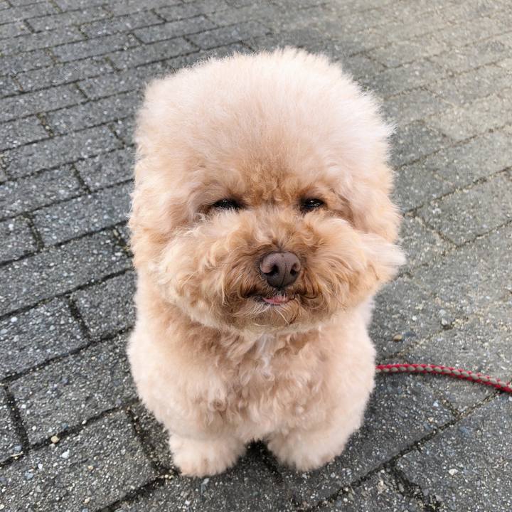 Be9ee204 74f0 4db7 8041 817575265c86 1513213629427