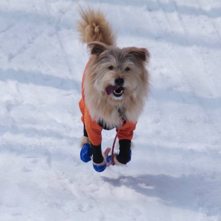 Be9ee5a4 1a0a 46a0 a4e5 0c86d36dcef4 1643165490489