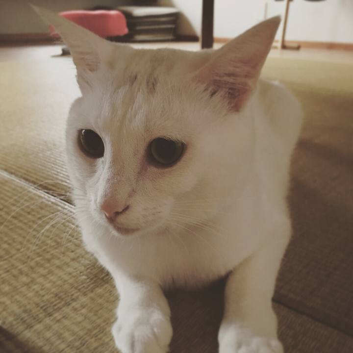 Be9f3189 1765 493d 87fb d2d65b874bcb 1530318049876