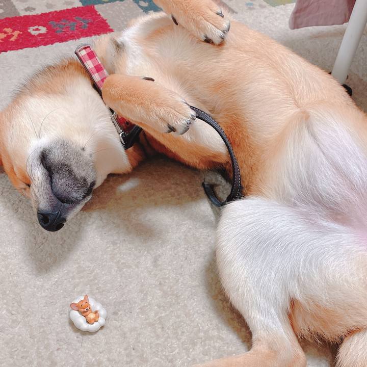 Be9f448a bb7a 419d b3ce 3cc775cfac36 1665322472353