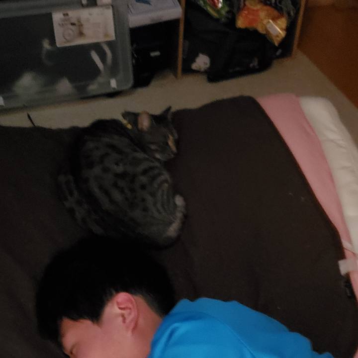 Be9fac85 f70f 4d5a ac60 721f613fecfd 1700139678007