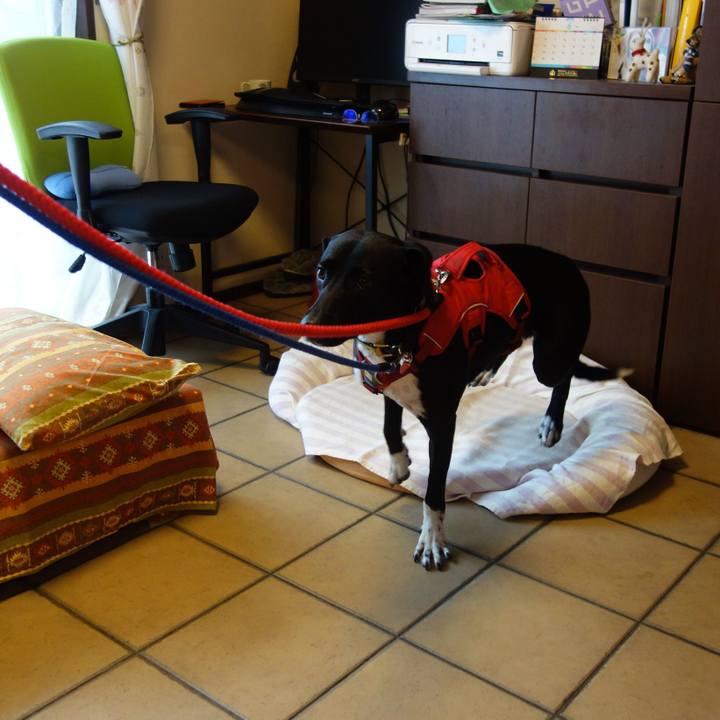 Be9fcb50 6221 45a6 bbb2 fed4b4085190 1591592358250