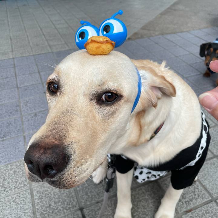 Bea0085b bf5b 4025 bb7c 544f3f787b1a 1643458682247