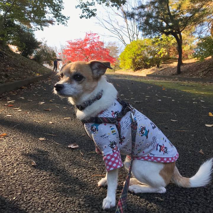 Bea02cc4 1a50 4295 bb21 25010b0d85c6 1574989734259