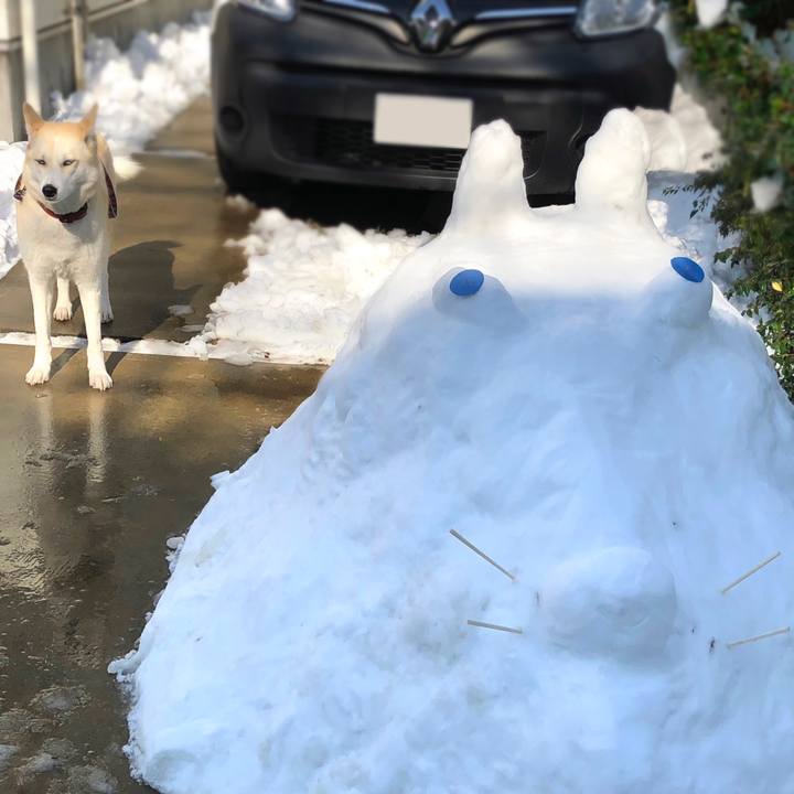 Bea047b5 dc0f 48ff 8760 9a08aa9b3108 1516683681981