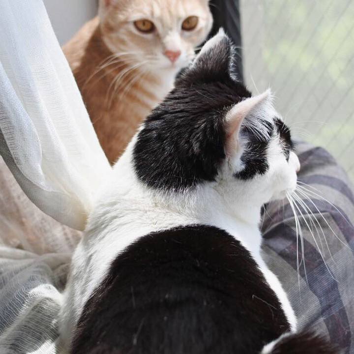 Bea04e56 ea75 4f0f 8611 ac35681103fa 1557053157497