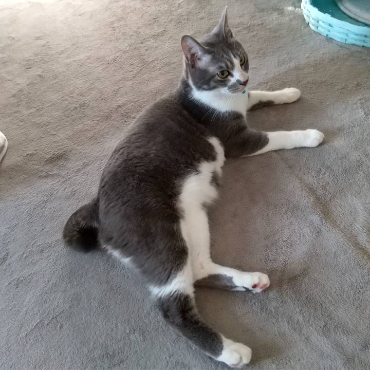 Bea0521e 6150 4ade 9ba3 ef20507ed722 1619821443746