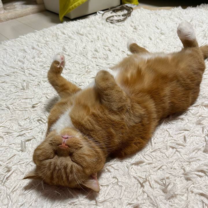 Bea07139 84da 4041 9d28 8eb3ea4330f3 1664021933157