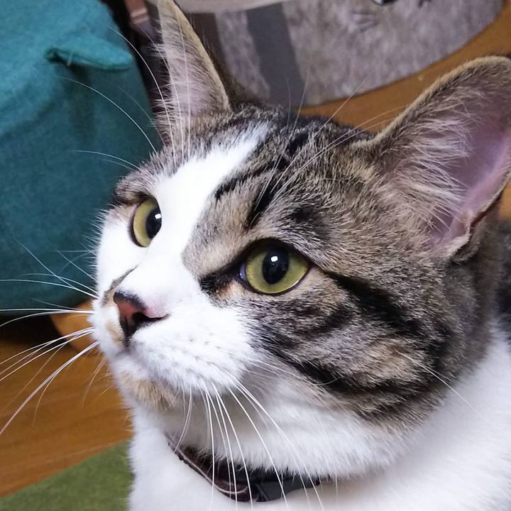 Bea08d37 db5f 4a2e baa4 9b9d90c1c78a 1622206500284