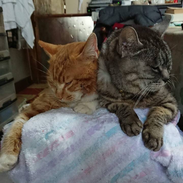 Bea0b449 f550 4734 8be0 fa039cf82857 1608753547799