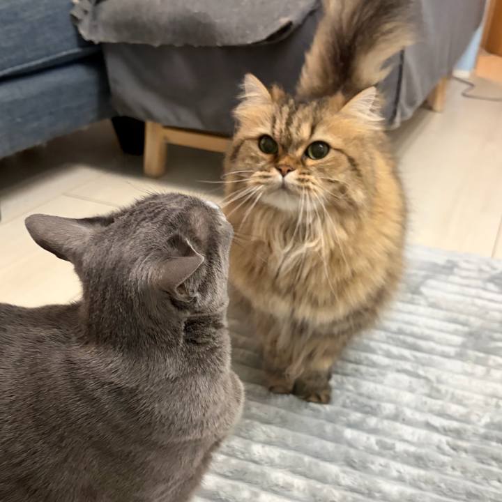 Bea10772 45b8 4507 809b 2edc5b6c681e 1767188173881