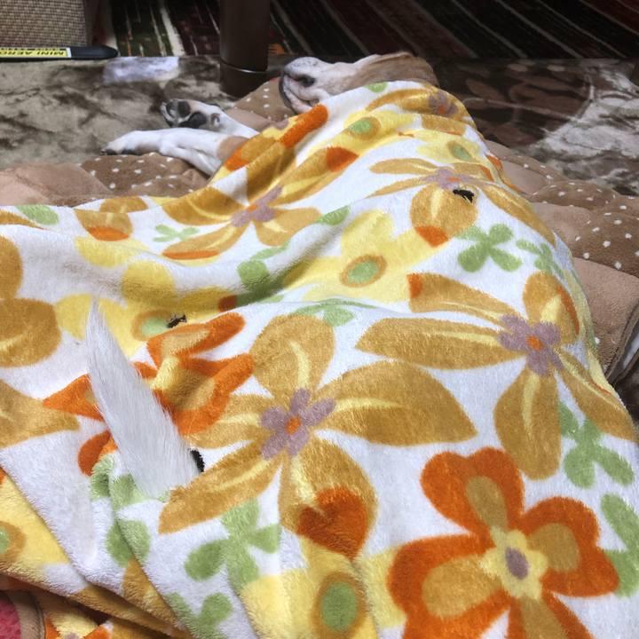 Bea1587c 1964 48b1 ae59 a22f3dc7a74e 1582206015597